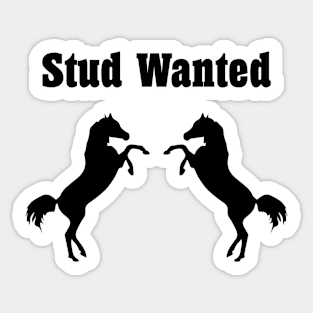 Stud Wanted Two Stallion Horses Monotone Sticker